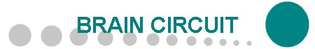 BRAIN CIRCUIT