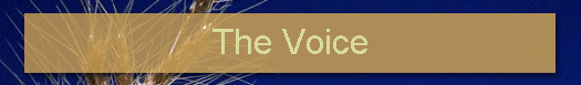 The Voice