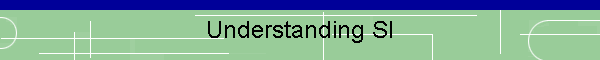 Understanding SI